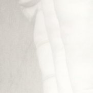 ����, 40 ���, �����-���������