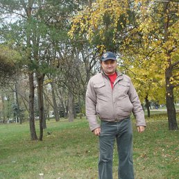 , 55, 