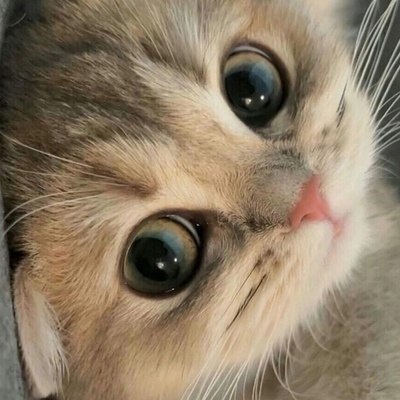 6      ,    .