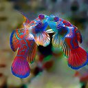 ���� ����, ������� - ��������� 9 �������� 2025 � ������ ��������� ����