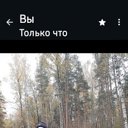 ���� �����, �����-���������, 53 ���� - ��������� 3 ������ 2026