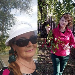 , 66, 