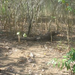 ���� ��������, ������, 69 ��� - ��������� 2 ������ 2023