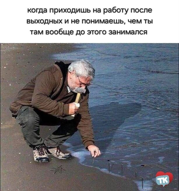  , .   ,      +6, ...