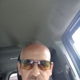 , 65 , 