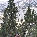  Nadim, , 30  -  9  2025    