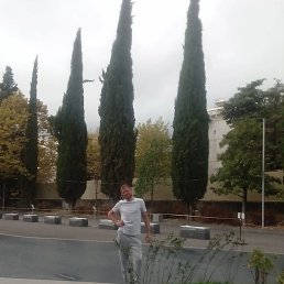 , 33 , 