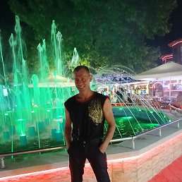 ���������, �����������, 41 ���