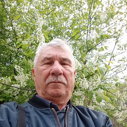 , 64 , 