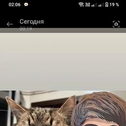 , 19, 