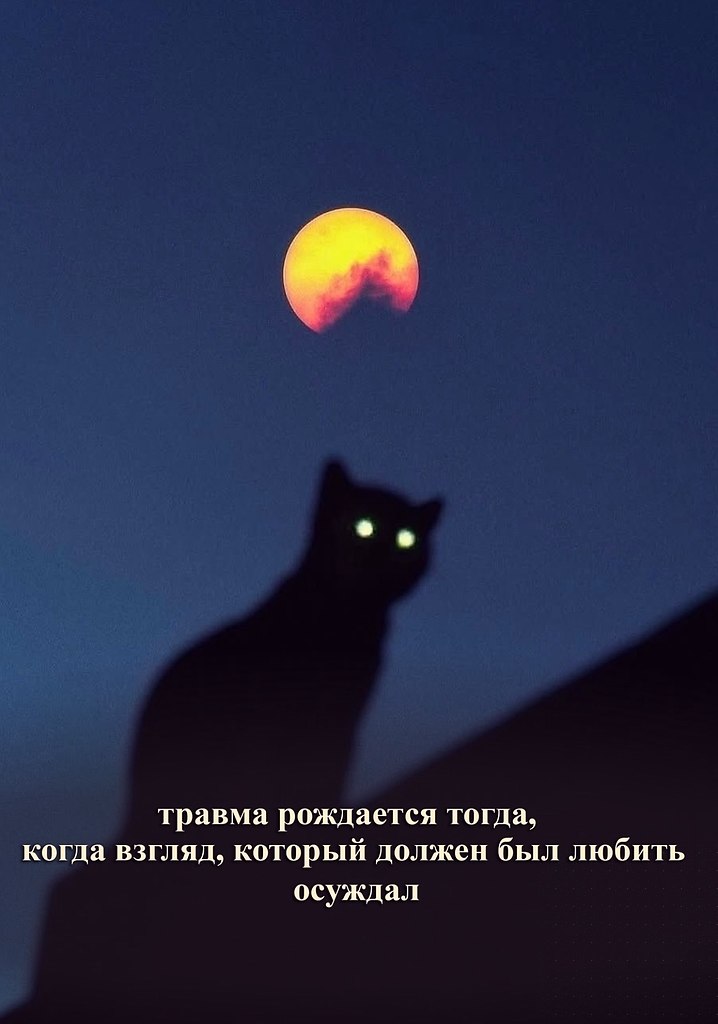  - 15  2025  07:10 - 3