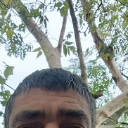 ��������, 46 ���, ������