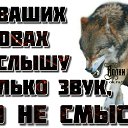 ���� ������, ������, 39 ��� - ��������� 6 ������� 2026 � ������ ���� ����������