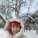 ���� �������, ������, 49 ��� - ��������� 20 ������ 2026 � ������ ���� ����������