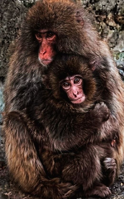 ������ ��� ��������� ������ � �������� ����� ������� ������ � ������ � ��� ������ �������. ������ ... - 2