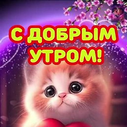 ��������, �������, 71 ���