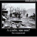 ���� ���������, ��������� - ��������� 15 ������ 2023 � ������ ���� ����������
