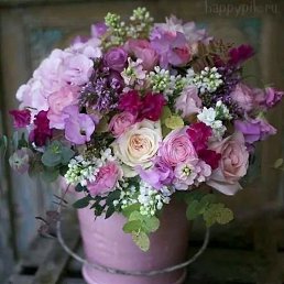 Ksyu, ���������, 46 ���