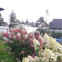  Elena, -, 65  -  4  2025    