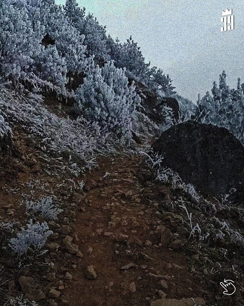 ���a�c�o� �po������ ����a�� �a�e����� �a����� �o ��e�� a� ��a� � �o��e ���ec���� �ce�� ��p� �a� ... - 6