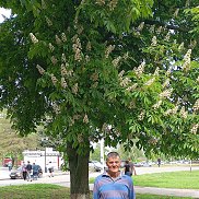 ������ �������, 61 ���, ���������