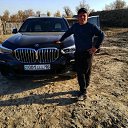 ���� �������, �����, 37 ��� - ��������� 3 ������ 2024 � ������ ���� ����������