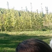 ��������, 34 ����, ������