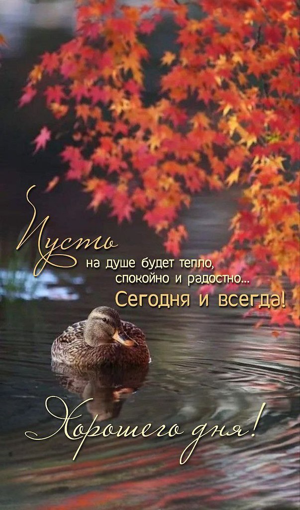   ,    . - 15  2025  13:11 - 3