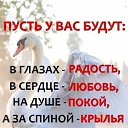 ���� ������ �������, ������, 64 ���� - ��������� 2 �������� 2026 � ������ ������ ��������