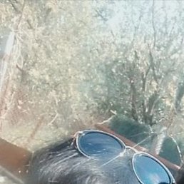 �����, ���������, 55 ���