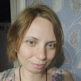 ���� ����, �������� - ��������� 24 ��� 2026
