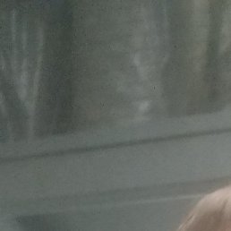 �������, ������, 36 ���