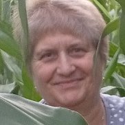 , 56 , 