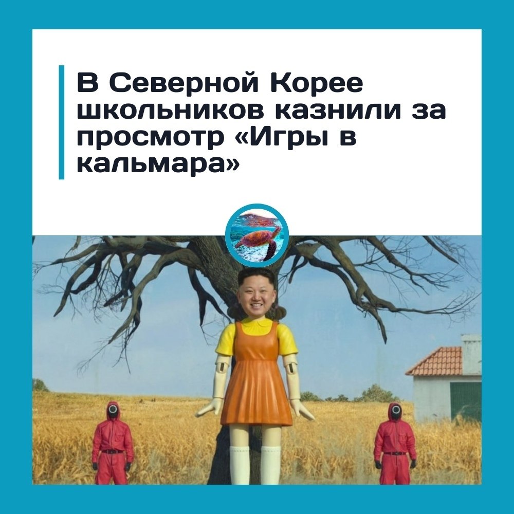 �� ��o�����o� �*����� �a ���p� � �a���apa�.mn�sty Int�rnational co cc���o� �a �e�e��e� coo��ae�: � ...