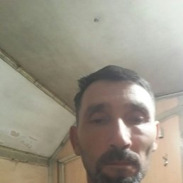 , 48, 