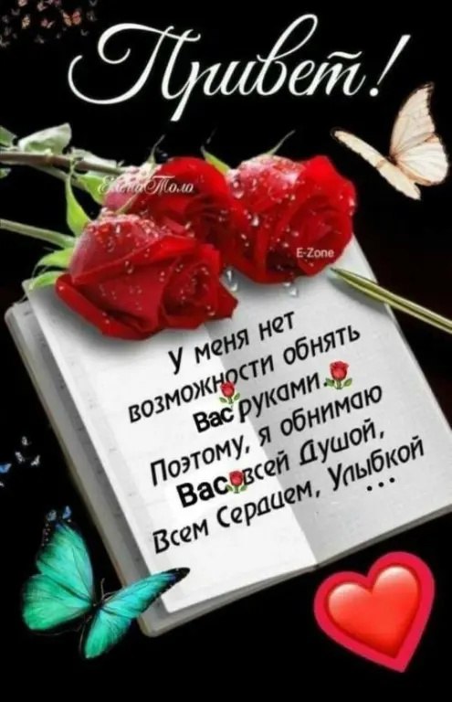  (   ) - 17  2025  10:01