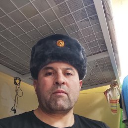 , 43, 
