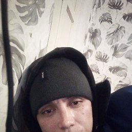 ������, ������, 33 ����