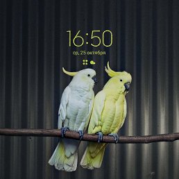 ������, ������, 26 ���