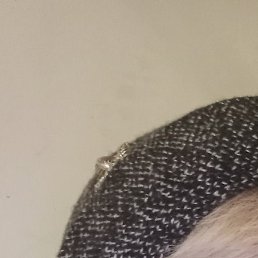 ������, ������, 53 ����