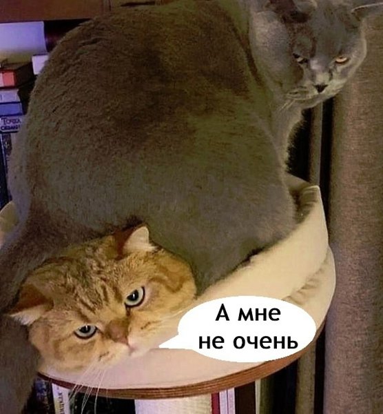     - 3