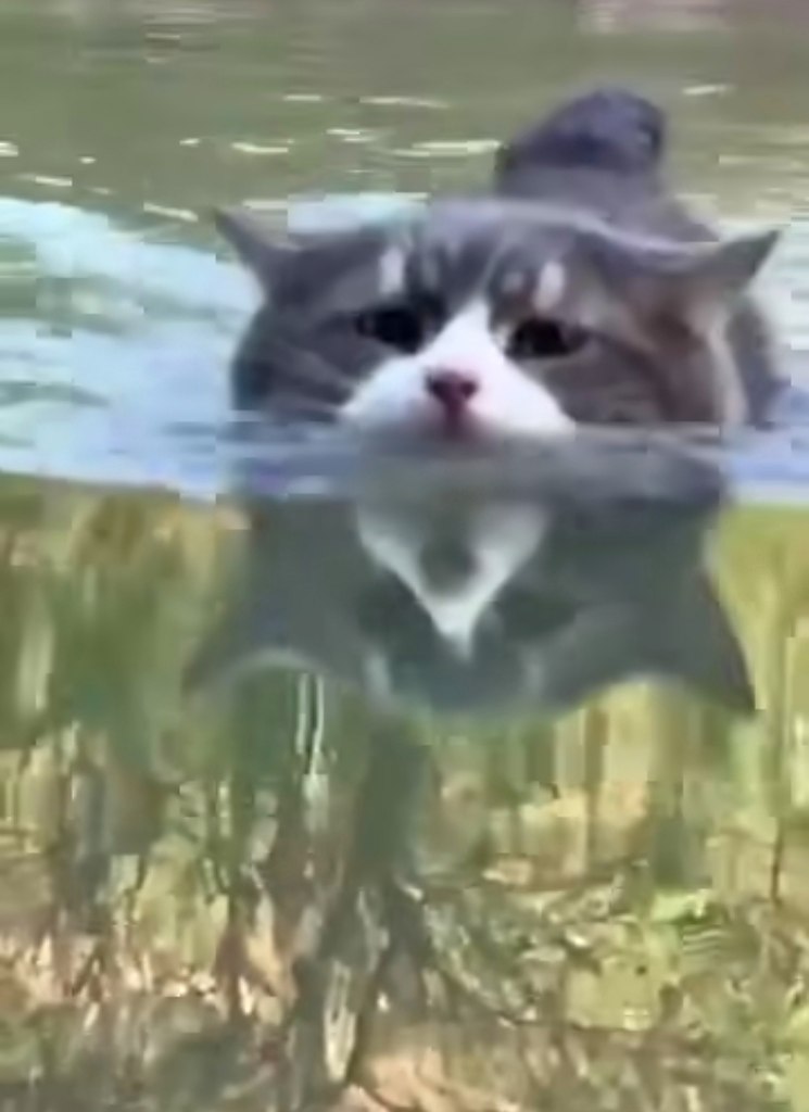 ... !