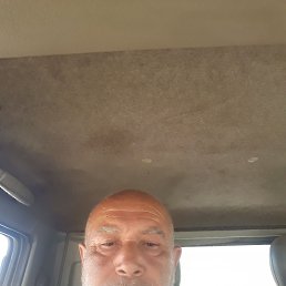 , 53, 