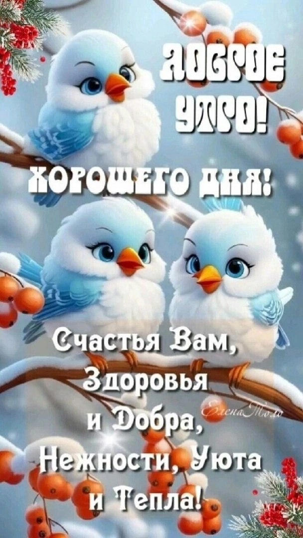  - 8  2024  06:37