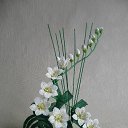  Alena, , 56  -  18  2025     