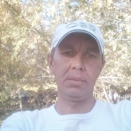 , 44 , 