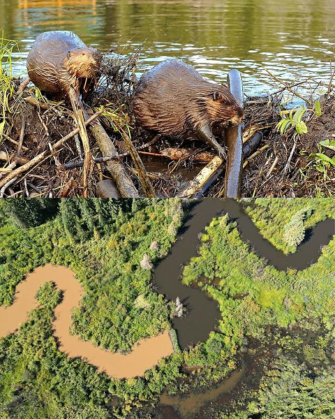 � 2018 ���� ������� ������ ����������� ������������� ������ �� �������������� �����-�������� ������ ... - 2