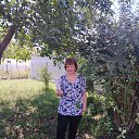 ���� �������, ���������, 67 ��� - ��������� 17 ������� 2024 � ������ ���� ����������