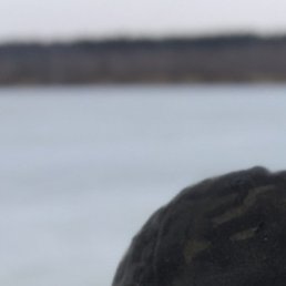 ���������, ������, 34 ����