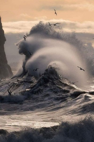   .  !     . Majeed Badizadegan